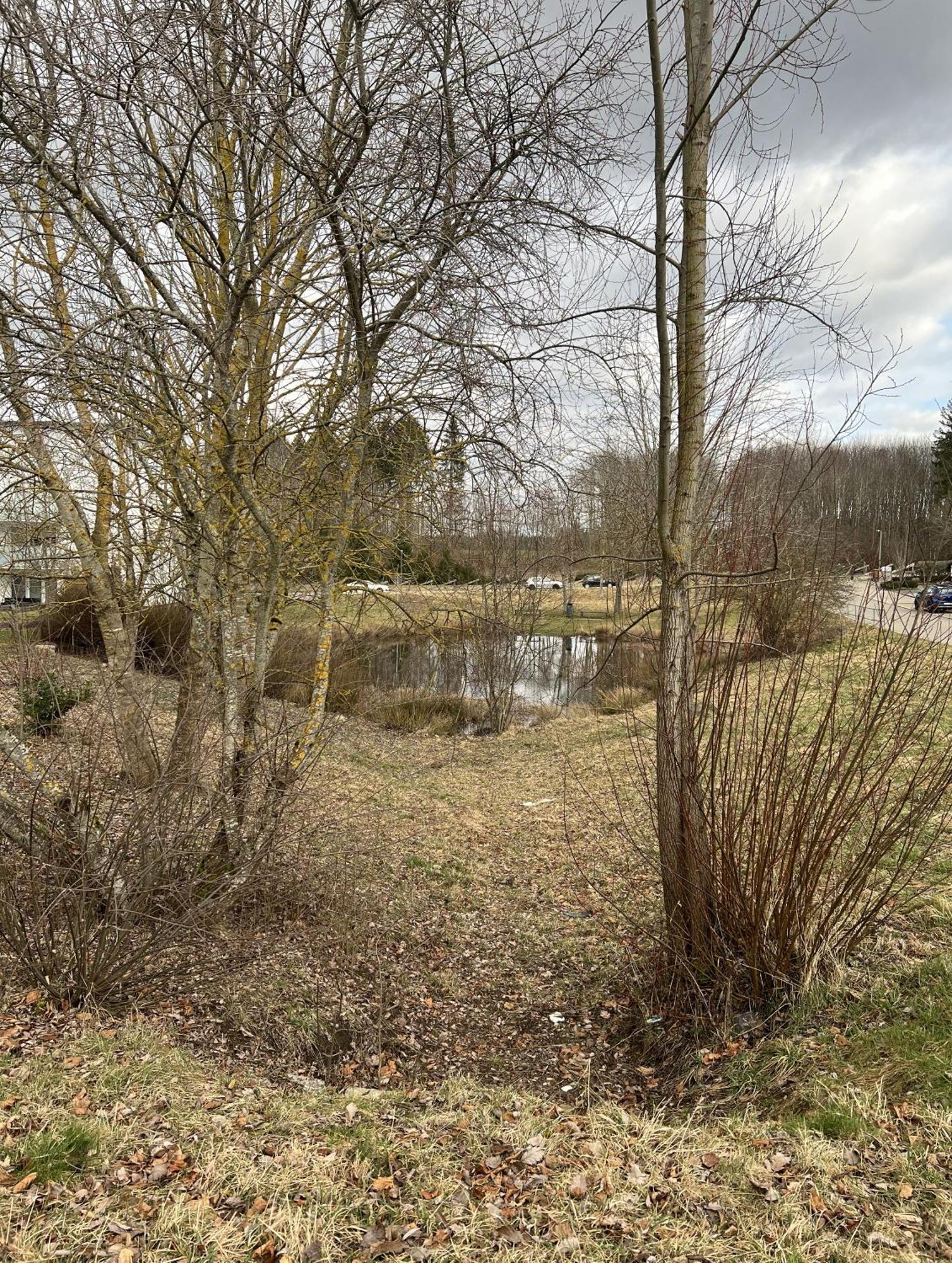 My Home N 35 Villingen-Schwenningen Extérieur photo